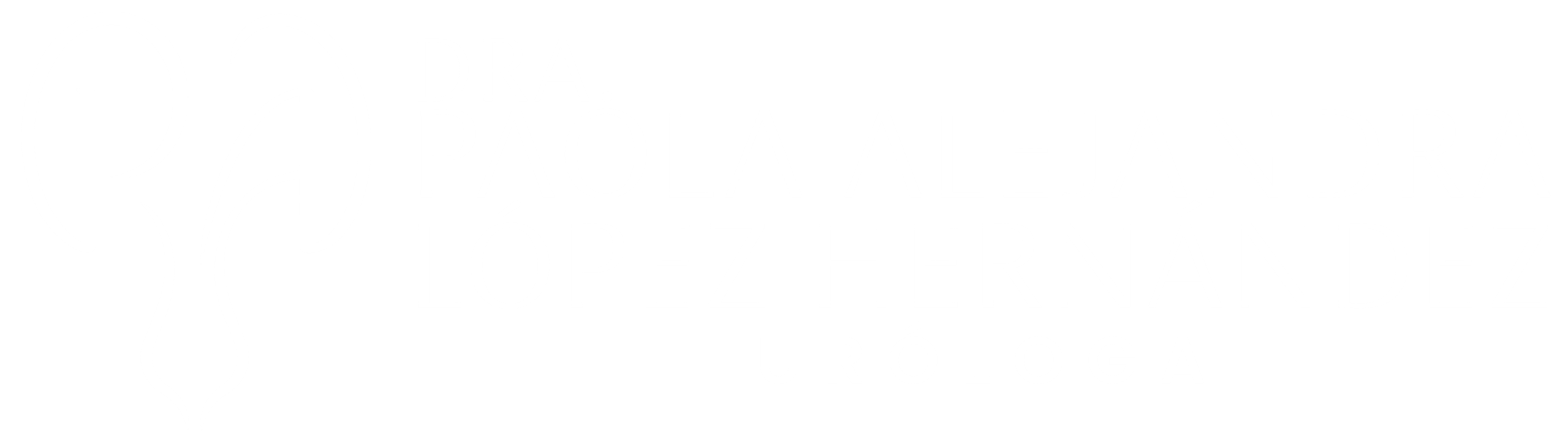 Dra. Paola A López